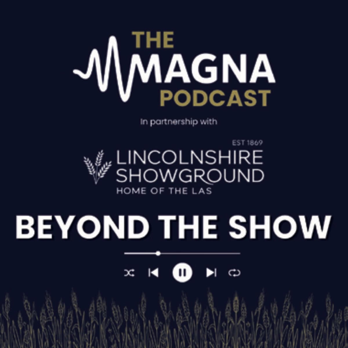 Beyond the Show podcast artwork