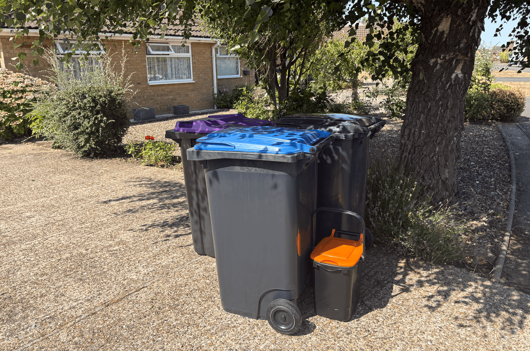 Thousands of new waste and recycling bins begin arriving across South Holland