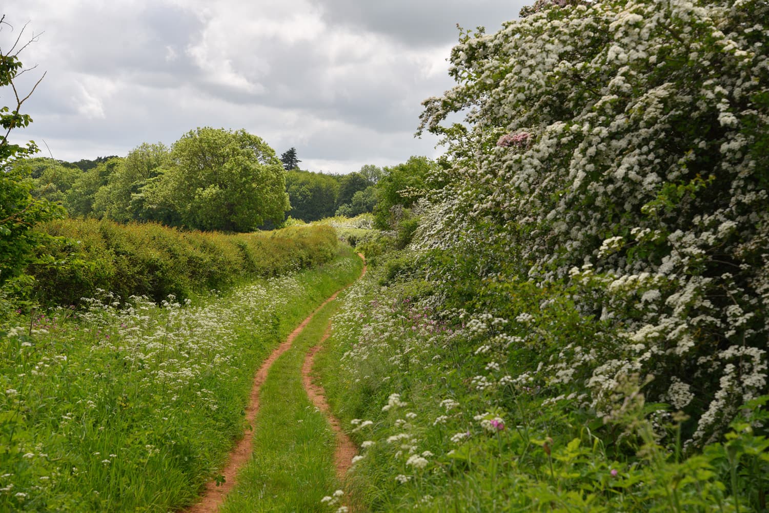 Longmoor Lane near Woolsthorpe