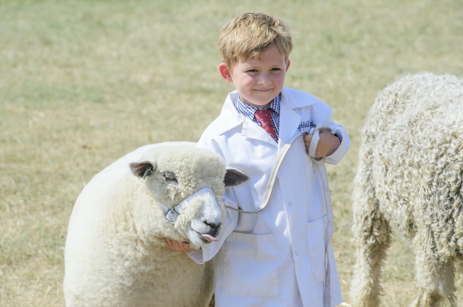 Everything you need to know about the Lincolnshire Show on 17th and 18th June